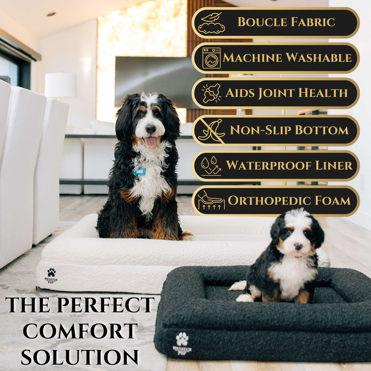 Luxury Orthopedic Dog Bed
