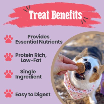 Puppy Love Dog Treat Duo | Poultry Chip Variety Pack