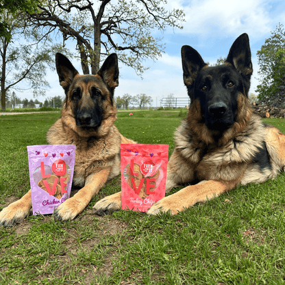 Puppy Love Dog Treat Duo | Poultry Chip Variety Pack