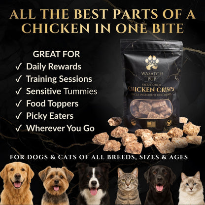 Freeze-Dried Chicken Crisps Dog Treats