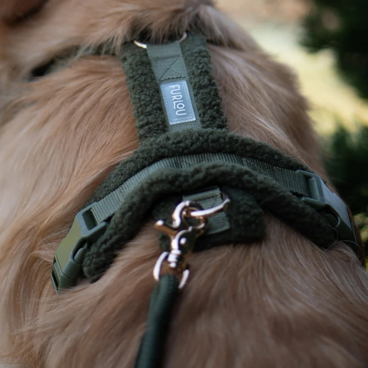 'Moss Green' - Sherpa Dog Harness